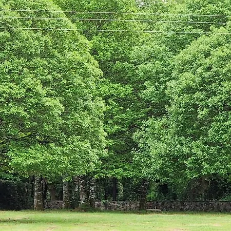 Finca La Cuevona Del Camino فيلة